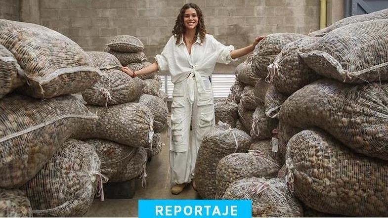 El marañón del Vichada, una promesa agroindustrial para Colombia y una alternativa alimentaria para el mundo