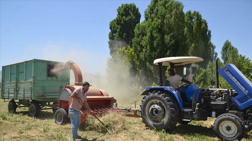 Muş'ta çiftçiler hayvanları için kışlık yem mesaisine başladı