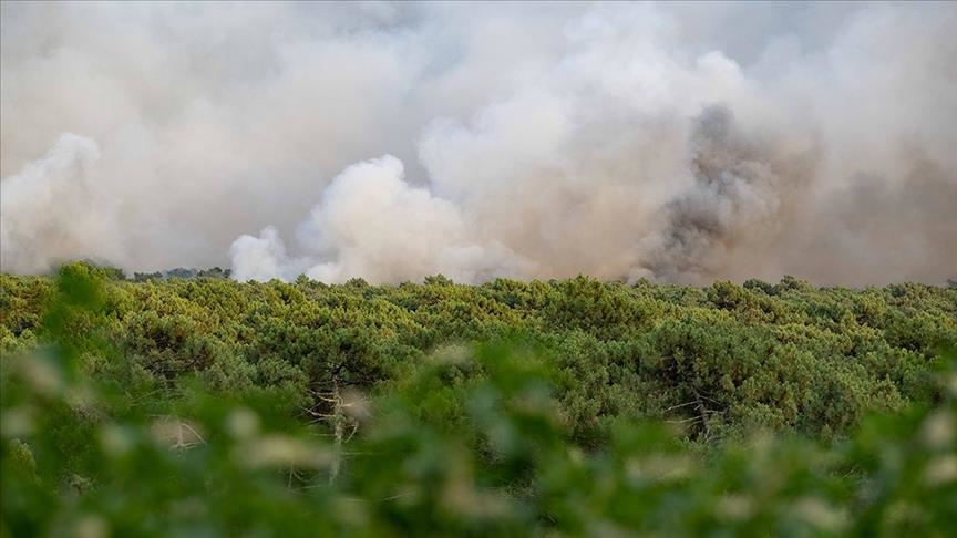 Fires in southwest France unstoppable, 17,000 hectares of pine forest destroyed