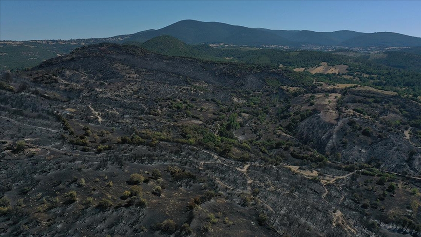 Balıkesir'in Kepsut ilçesindeki orman yangınında soğutma çalışmaları sürüyor