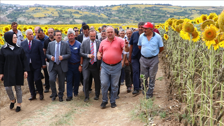 Tarım ve Orman Bakan Yardımcısı Pakdil, çayır tırtılı görülen tarlaları inceledi