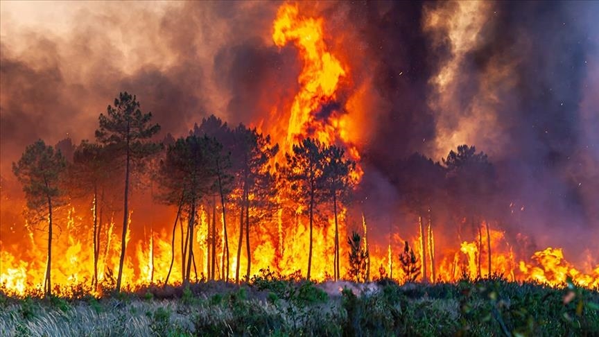 فرنسا.. حرائق الغابات في جيروند تجلي 32 ألف شخص عن منازلهم