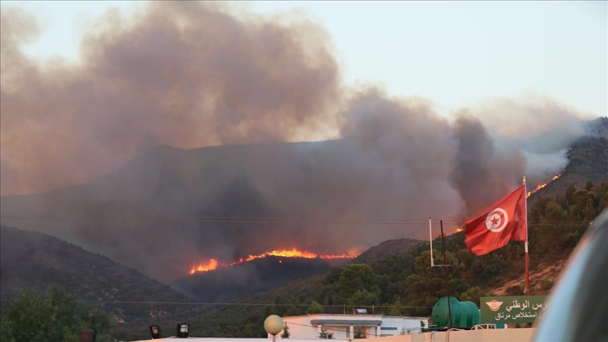 Tunisie / incendie Djebel Boukornine : les pompiers réussissent à encercler plusieurs foyers de feu