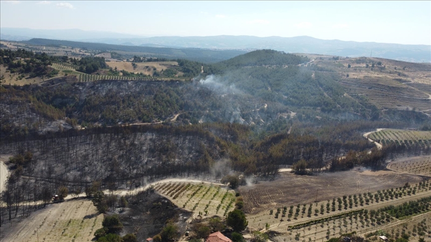 Manisa'da 185 hektar alanın zarar gördüğü yangına ilişkin 2 kişi tutuklandı