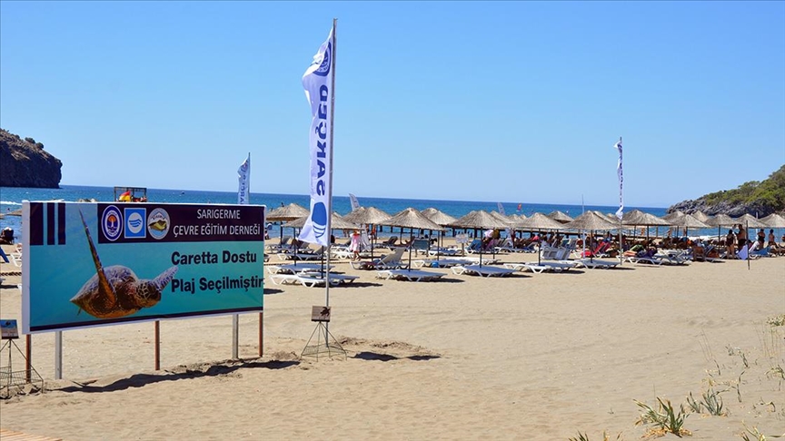 Muğla'daki kum zambaklarıyla ünlü halk plajına 'Caretta Dostu Plaj' unvanı verildi