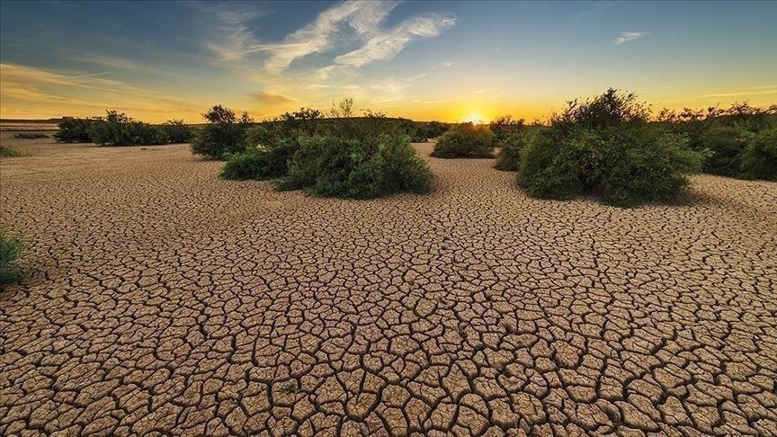 France : 88 départements placés en état d’alerte sécheresse