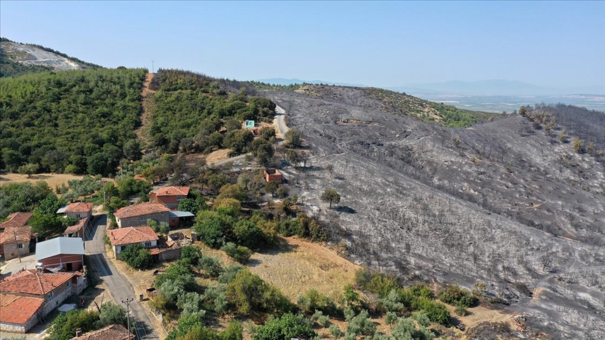 Manisa'daki orman yangını kontrol altına alındı
