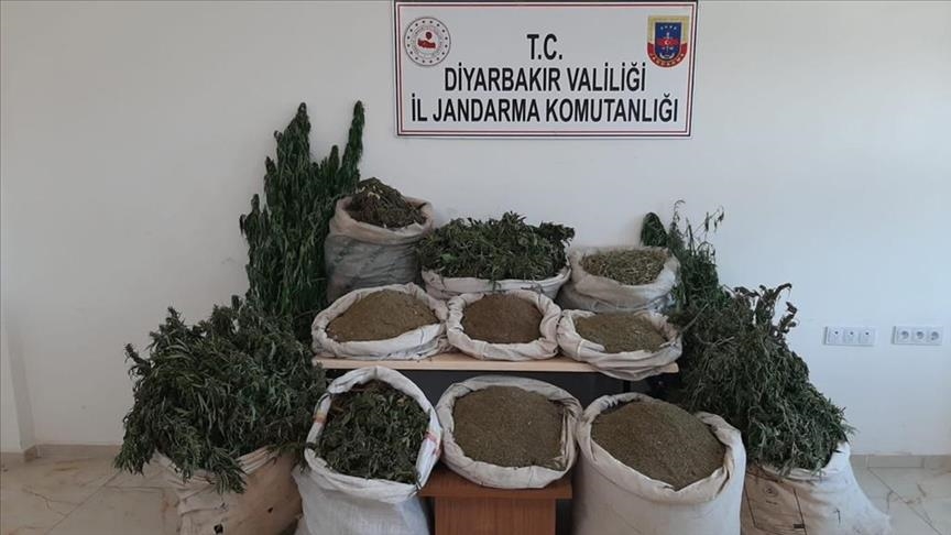 Li Diyarbekirê Operasyona Narko Terorê ya Eren Abluka-25ê dest pê kir