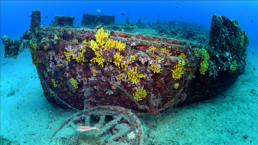 Çanakkale Savaşları'nda batan 'HMS Majestic' gemisinin batığı görüntülendi