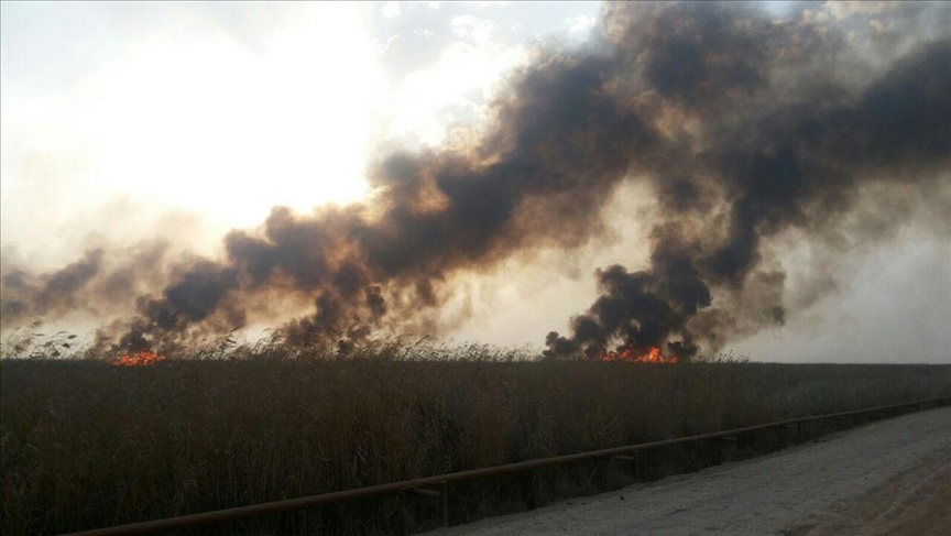 ایران: آتش سوزی تالاب هورالعظیم به نقطه صفر مرزی رسیده است