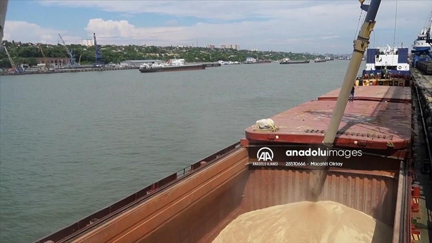 Türkiye, Ukraine discuss preparations for grain shipments