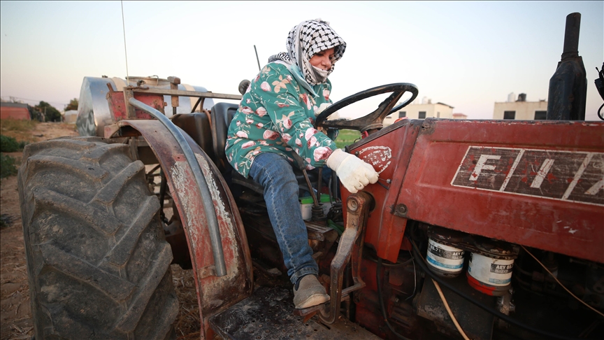 عياد.. أول فلسطينية تحمل رخصة قيادة جرار زراعي (تقرير)