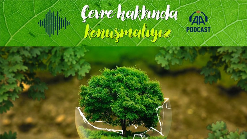 Ekolojik ayak izi nedir, bize ne anlatıyor?