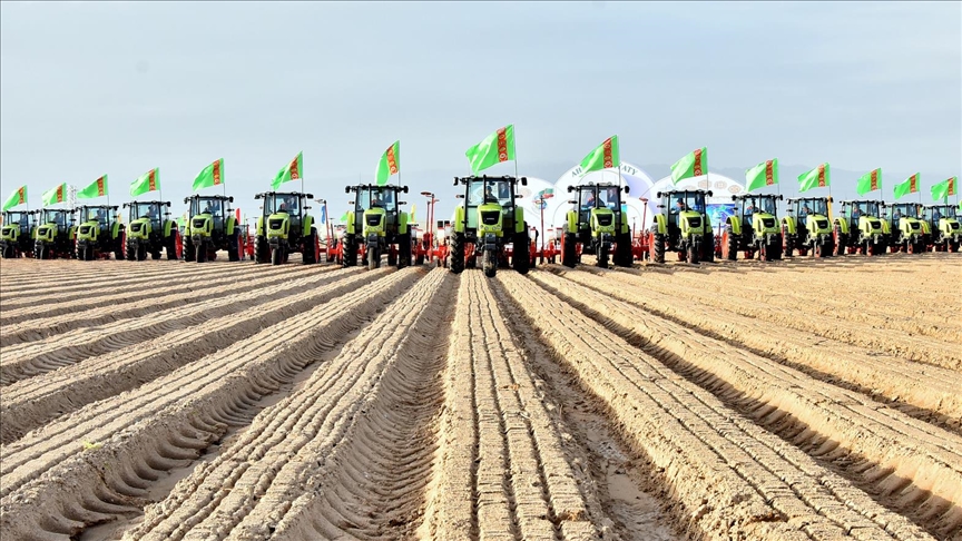 Бердымухамедов поблагодарил хлеборобов Туркменистана за богатый урожай пшеницы