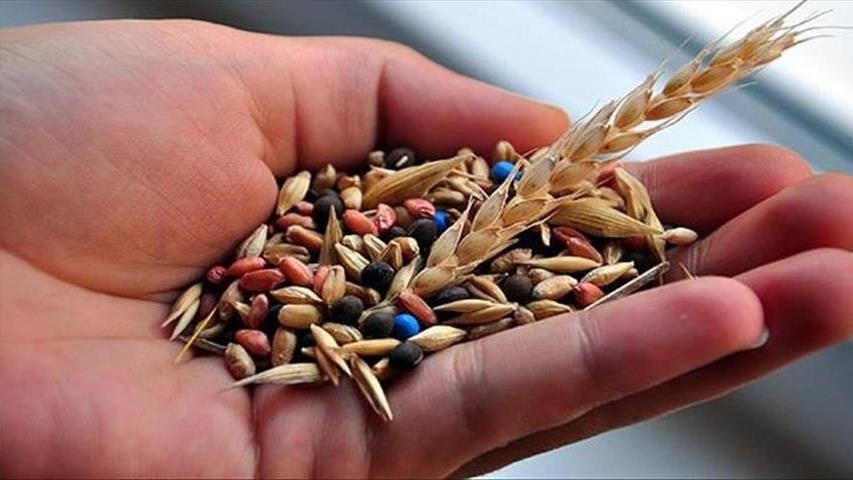 Турция перерабатывает импортное зерно, поставляя продукцию в 180 стран мира