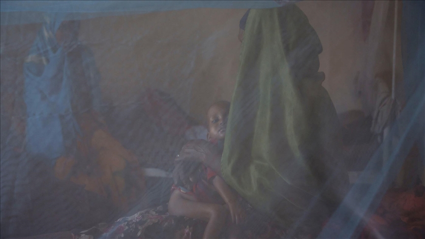 Somalia had 8,041 cholera cases, 37 deaths this January-June: WHO