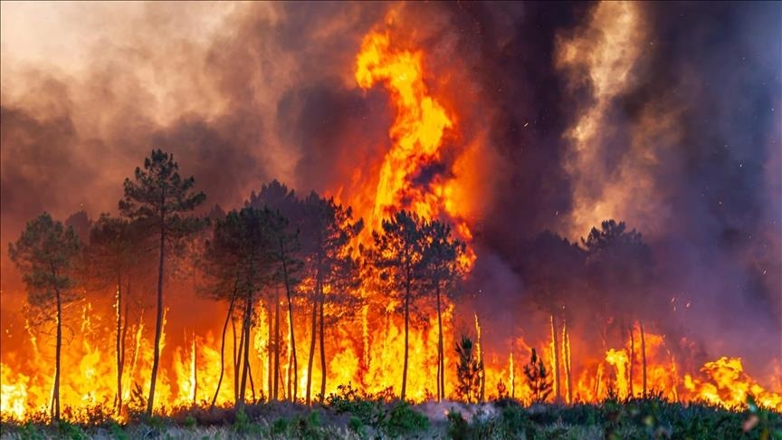 На юге Франции пожар уничтожил 370 га лесов