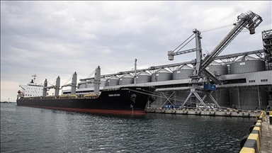 ألمانيا ترحب بمغادرة أول سفينة حبوب أوكرانية ميناء أوديسا