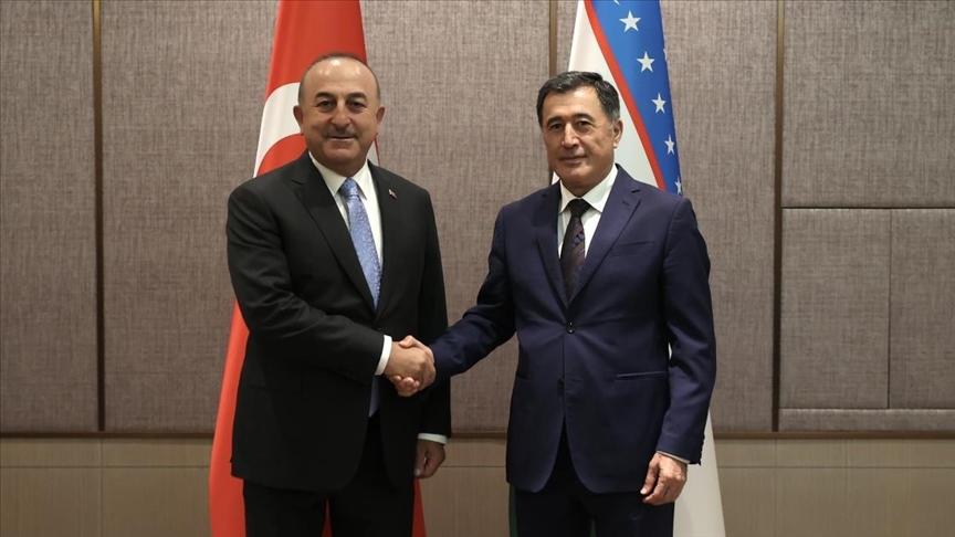 Dışişleri Bakanı Çavuşoğlu, Özbek mevkidaşı Narov'la görüştü