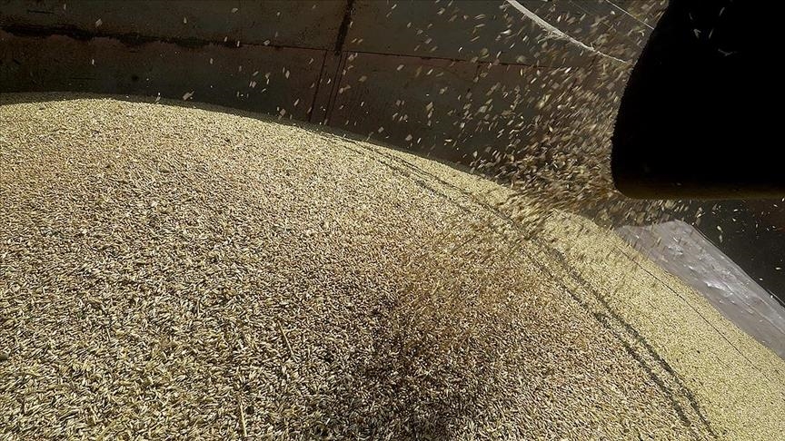 Начало поставок зерна из Украины ускорило снижение цен на продовольствие - Ташпынар