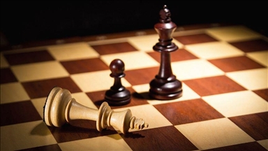 В турецком Эдирне проходит 17-й открытый международный шахматный турнир