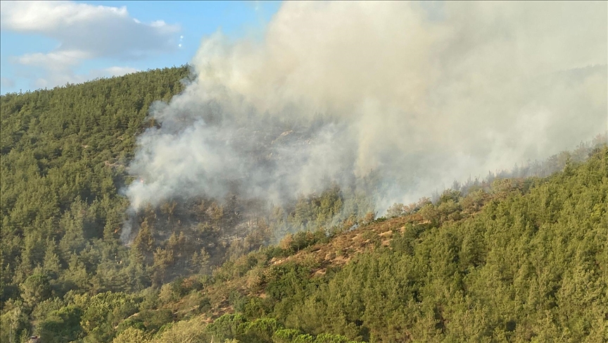 فرق الإطفاء تحاول إخماد حريق في غابات غربي تركيا