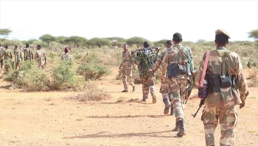 OPINION - Somalia should shape Horn of Africa’s geopolitics