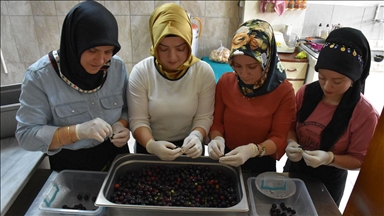 Karadenizli kadınlar tescilli lezzet "taflan turşusu"nun yapımına başladı
