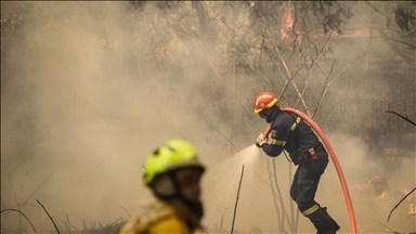 Хрватска: Пожарот кој избувна во предградието на Загреб ставен под контрола