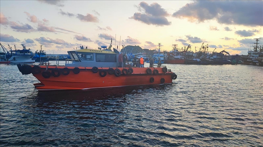 Совместный координационный центр инспектирует судно Fulmar S, следующее в Украину за зерном
