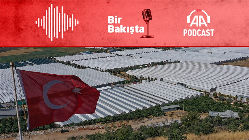 Türkiye’de seracılık ve tarım ekonomisine etkisi