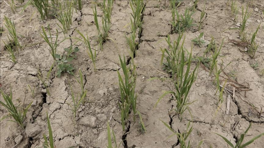 France activates crisis unit to deal with 'most serious' drought