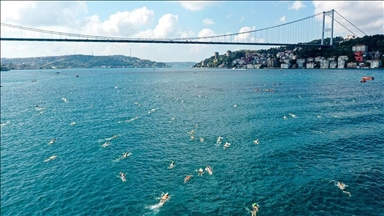 В Стамбуле пройдет 34-й межконтинентальный заплыв