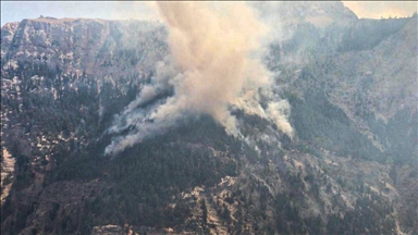 Mersin'deki orman yangınına 3. gününde müdahale ediliyor