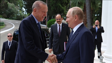 Встреча президентов Эрдогана и Путина завершилась 