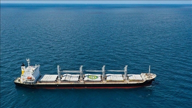 3 ships loaded with Ukrainian grain anchor at Türkiye's Istanbul Strait