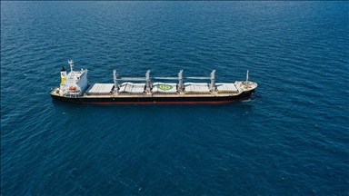 Ukrayna'dan gelen 'Navi-Star' gemisinin denetimi tamamlandı