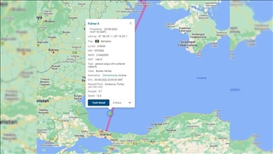 Empty cargo ship arrives in Ukrainian water to load grain