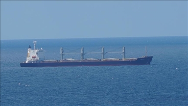 Из портов Украины в направлении Стамбула вышли еще 4 сухогруза