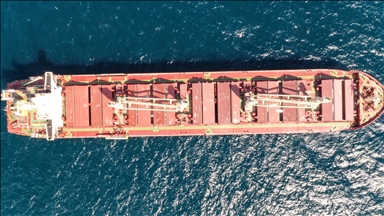 بازرسی از کشتی حامل غلات از اوکراین در استانبول