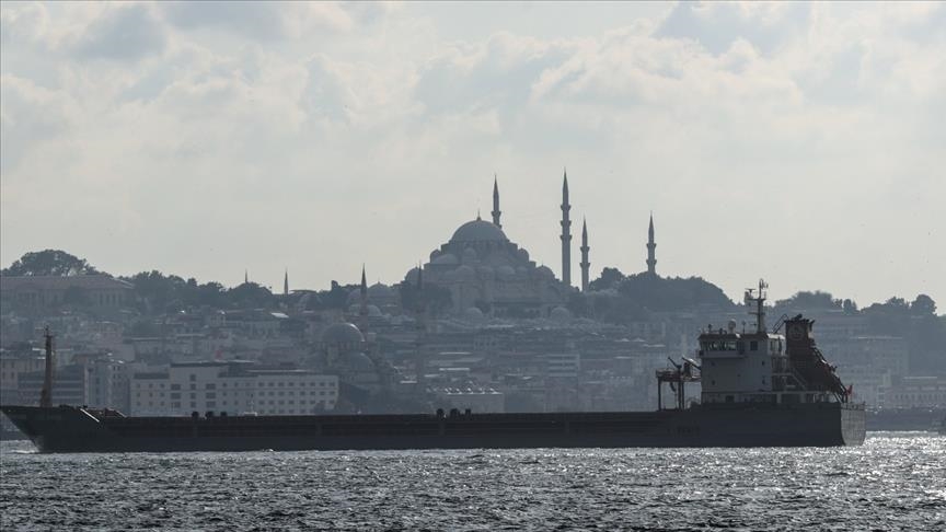 سازمان امنیت و همکاری اروپا: دیپلماسی ترکیه در روند توافق‌نامه غلات قابل تحسین است