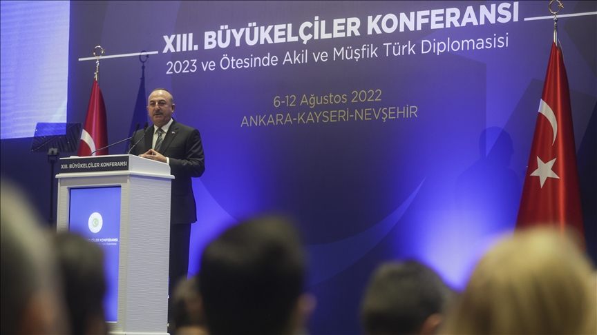 Türkiye's 'entrepreneurial, humanitarian' foreign policy benefits world, says foreign minister