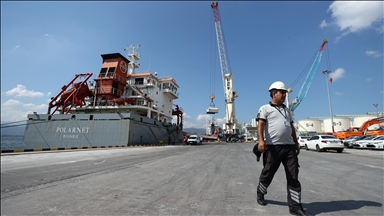 Turkish-flagged ship with Ukrainian grain docks in northern Türkiye