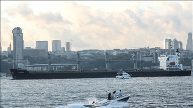 أنقرة: سفينتا حبوب تغادران موانئ أوكرانيا