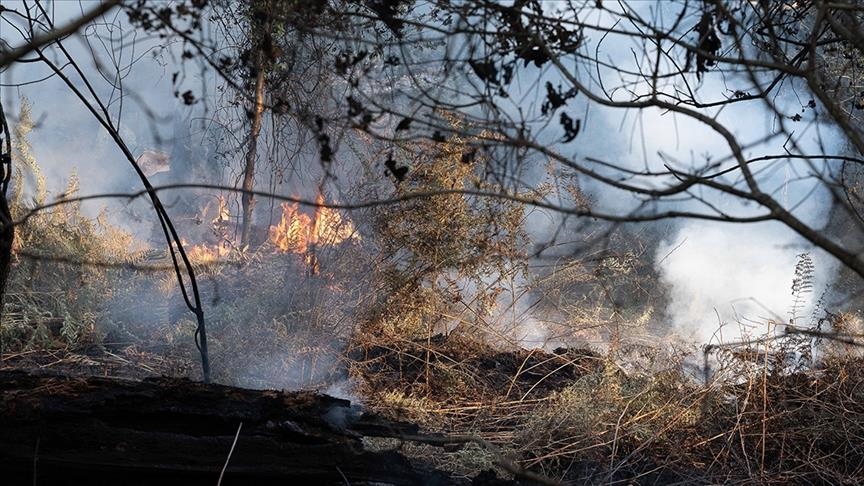 Пожарот во јужна Франција уништи 700 хектари зелени површини