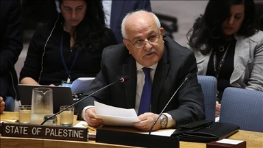 ONU : La Palestine demande une protection internationale contre l'agression israélienne "injustifiée"