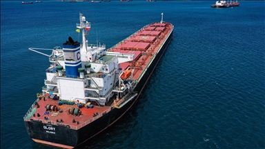 بازرسی از دو کشتی دیگر حامل غلات اوکراین در استانبول پایان یافت