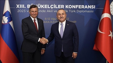 تشاووش أوغلو: تركيا وسلوفينيا تهدفان لإرساء الاستقرار بمنطقتنا