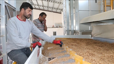 Yozgat çiftçisi KOP desteğiyle yapılan eleme tesisi sayesinde tohum maliyetini düşürüyor