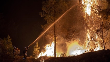 France : Des feux de forêt toujours en cours dans plusieurs départements